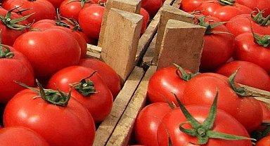 Kısıtlamanın getirildiği domates, Tarım ve Orman Bakanlığı ihracatını kısıtlama kararını kaldırdı