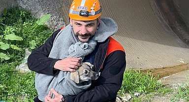 Batman'da sulama kanalında mahsur kalan yavru köpek kurtarıldı