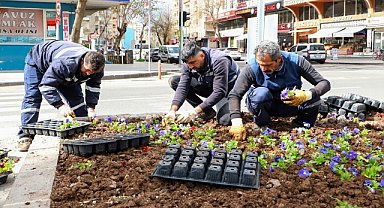 Mevsimlik çiçek dikim çalışmaları devam ediyor