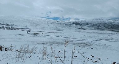 Ağrı’da Mayıs ayında şaşırtan kar yağışı 
