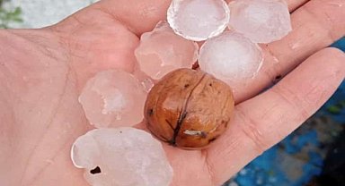 Malatya'da ceviz büyüklüğünde yağan dolu meyve ve sebze bahçelerine zarar verdi