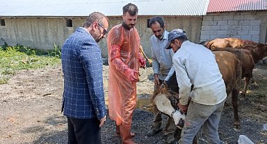 Ağrı İl Müftülüğü tarafından ihtiyaç sahibi ailelere dağıtılacak kurbanların kontrolleri gerçekleştirildi