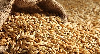 Çiftçi buğday ekimi ile ilgili özel açıklama bekliyor
