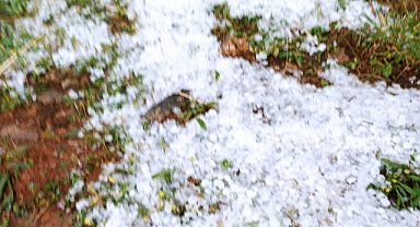 Elazığ'da sağanak ve dolu etkili oldu