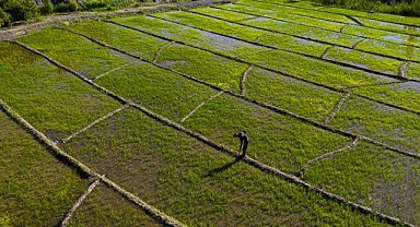 Prof. Dr. Faruk Kaya, 