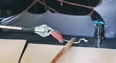 Araca sıkışan yılan itfaiye ekipleri tarafından çıkartıldı