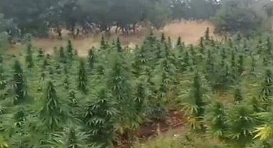 Diyarbakır'da yüklü miktarda uyuşturucu ele geçirildi