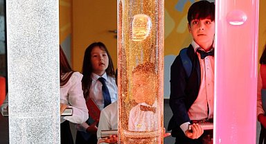 Dünyanın çağdaş ülkelerinde karma eğitim 