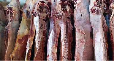 Kurban Bayramı süresince 1250 büyükbaş kesildi