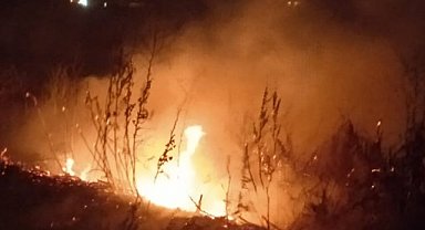 Ağrı'nın çeşitli noktalarında yangın çıktı