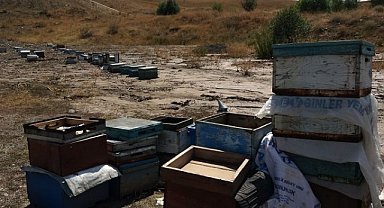 Sular taşınca onlarca kovan toprağın altında kaldı