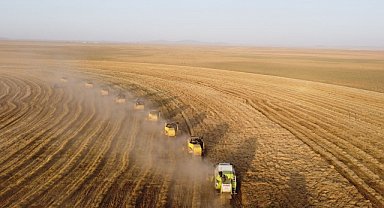 TİGEM'de hububat hasadı devam ediyor