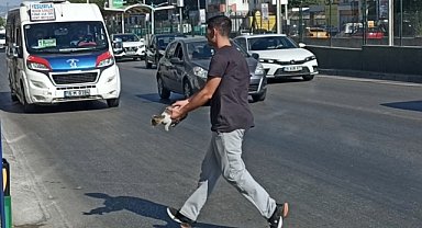 Trafiğin ortasında mahsur kalan yavru kediyi vatandaş kurtardı