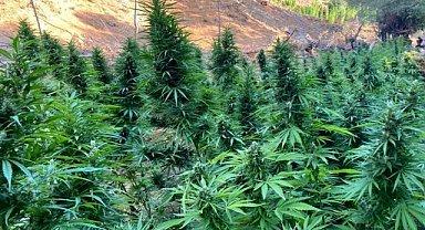 Uyuşturucu madde ele geçirildi