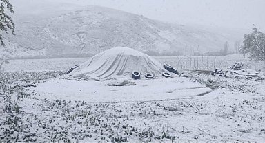 Ağrı'da mayıs ayında kar yağışı