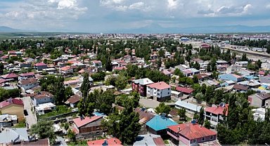 Ağrılı vatandaşların sağlığını tehdit eden Polenler!