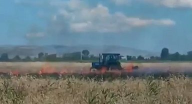 Ağrı'da arpa ekili arazi küle döndü