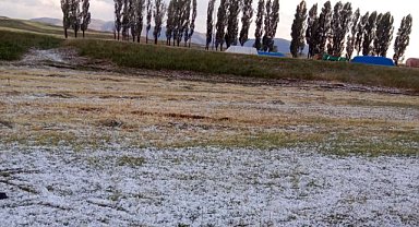 Dolu Ağrı'da ekinlere zarar verdi, çiftçiler yardım bekliyor
