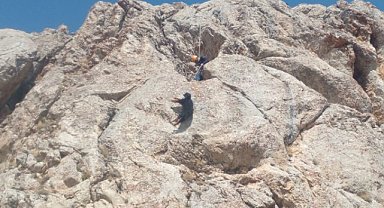 Mağarada mahsur kalan oğlaklar kurtarıldı