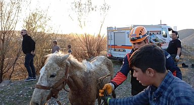Ağrı'da bir köyde bataklığa saplanan at AFAD tarafından kurtarıldı