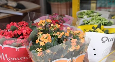 Çiçekçilik sektörü Mardin'de zorluk yaşıyor