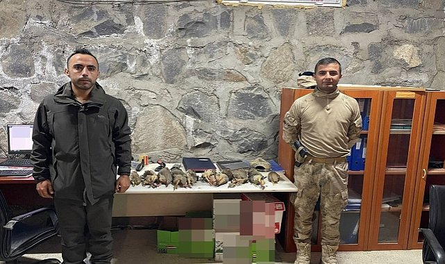 Keklik ve sığırcık avlayanlara ceza