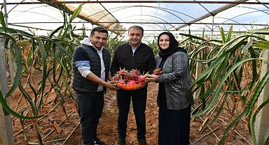 Tarımdaki çeşitlilik bölgemiz için önemli