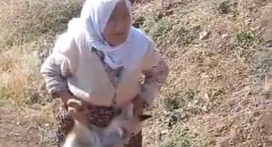 Tavuk kümesine giren tilkiyi eliyle yakaladı!