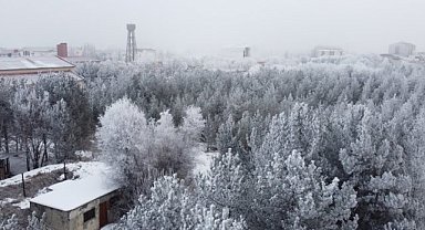 Ağrı'da soğuklar eksi 25'i gördü, ağaçlara kırağı düştü
