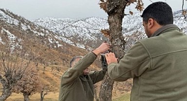 Biyoçeşitliliği izlemek için doğa ve yaban hayatı gözetim altında