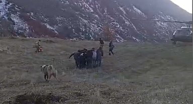 Domuzların saldırdığı kişi uçurumdan düştü