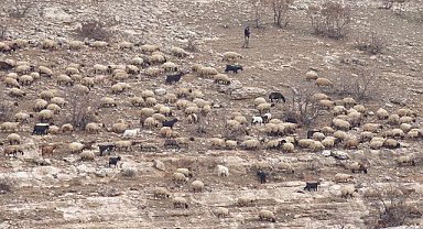 Hayvanlarını satmak zorunda kalan köylüler çoban bulamıyor