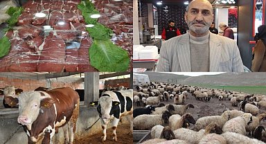 Neden et fiyatları artıyor, artış endişe veriyor!