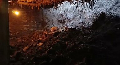 Ahırın altında kalan hayvanlar telef oldu