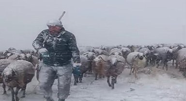 Yaylada tipi bastırdı, koyunları köye getirmek için yola koyuldu