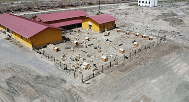 Belediye barınağına teslim edilen hayvanlara ne oluyor?