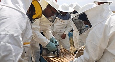 Bal üretiminde bu yıl yüksek miktarda rekolte bekleniyor