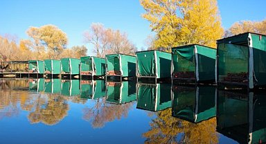 Ağrı'dan kartpostallık görüntüler: Sonbahar çok güzel