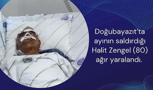 Yüzüne pençe attığı adamı ağır yaraladı