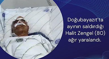 Yüzüne pençe attığı adamı ağır yaraladı