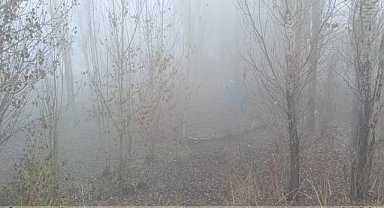 Ağrı'da sabah saatlerinde görüş mesafesi 10 metreye düştü