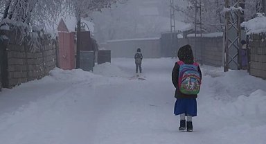 Okullar kar yağışı nedeni ile tatil edildi