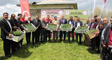 Ağrı'da 100 bin sebze fidesi dağıtıldı
