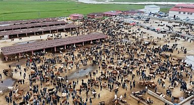 Bayrama sayılı gün kala kurbanlık piyasası hareketli