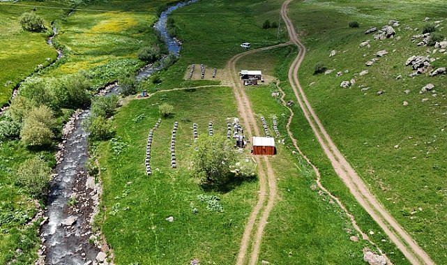 Aylarca sürecek çalışma için arıcılar kolları sıvadı