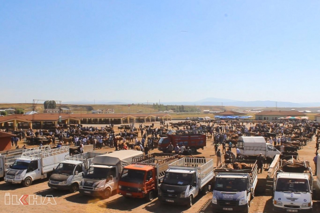 Ağrı'nın bacasız fabrikası hayvancılık