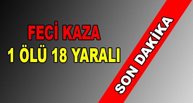 Ağrı'da feci kaza 1 ölü 18 yaralı