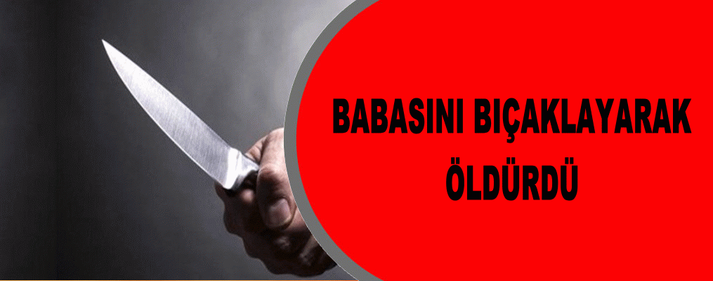 Babasını bıçaklayarak öldürdü
