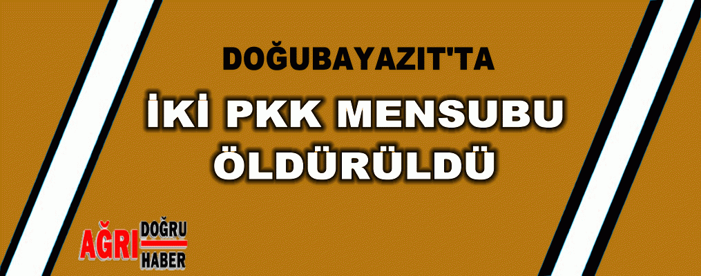 Ağrı'da 2 PKK mensubu öldürüldü