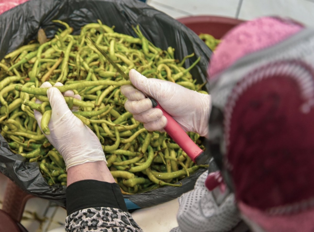 Ağrı’da Kadınlar günde 1,5 Ton Turşu Üretiyor